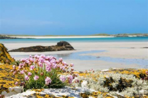 Wild Atlantic Stay Guest House Self-Catering